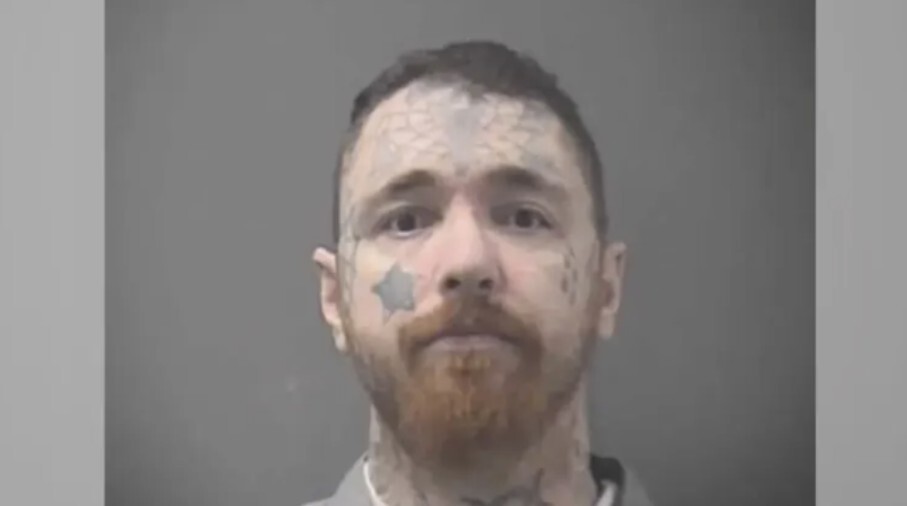 kevin lino head shot